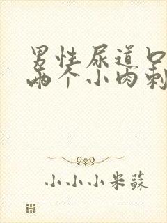 男性尿道口起了两个小肉刺怎么办