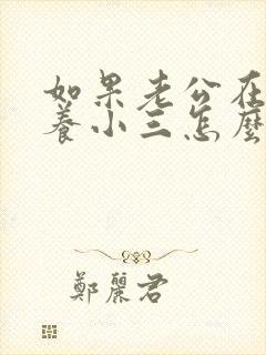 如果老公在外面养小三怎么办