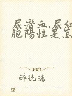 尿潜血,尿红细胞阳性是怎么回事