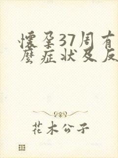 怀孕37周有什么症状及反应