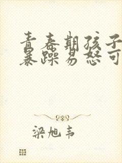 青春期孩子脾气暴躁易怒可以中药调理吗