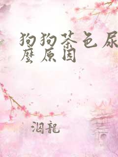 狗狗茶色尿是什么原因