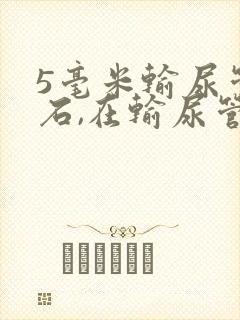 5毫米输尿管结石,在输尿管上端不动