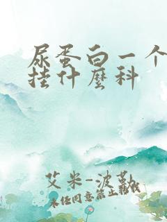 尿蛋白一个加号挂什么科