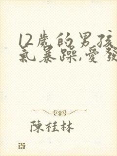 12岁的男孩脾气暴躁,爱发脾气怎么办