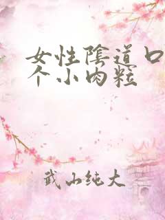 女性阴道口有几个小肉粒