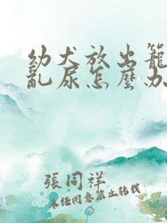 幼犬放出笼子就乱尿怎么办