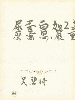 尿蛋白加2是什么意思,严重吗