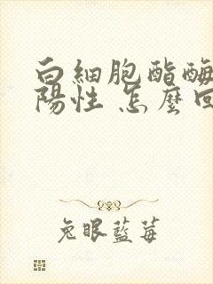 白细胞酯酶le阳性 怎么回事