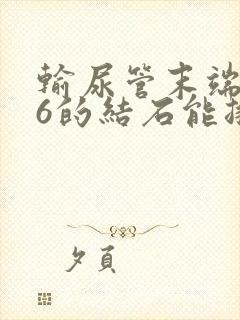 输尿管末端0.6的结石能排出吗