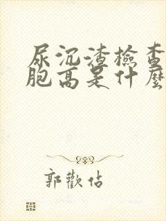 尿沉渣检查白细胞高是什么原因