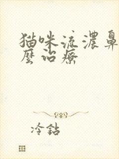 猫咪流浓鼻涕怎么治疗