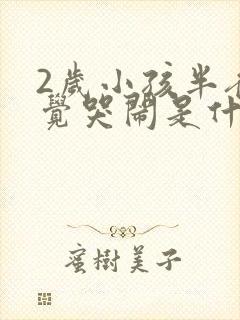 2岁小孩半夜睡觉哭闹是什么原因