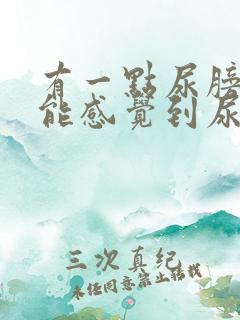 有一点尿膀胱就能感觉到尿意