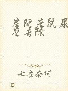 房间老鼠尿味怎么去除