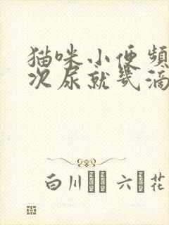 猫咪小便频繁每次尿就几滴怎么办