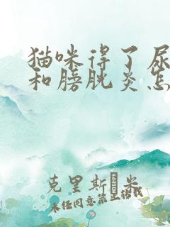 猫咪得了尿结石和膀胱炎怎么治