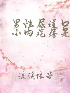 男性尿道口长个小肉疙瘩是怎么回事