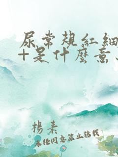 尿常规红细胞4+是什么意思