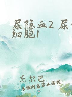 尿隐血2 尿白细胞1