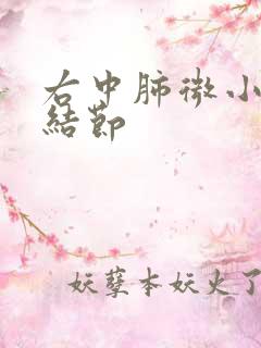 右中肺微小实性结节