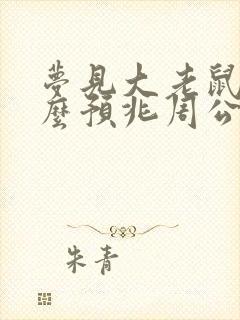 梦见大老鼠是什么预兆周公解梦