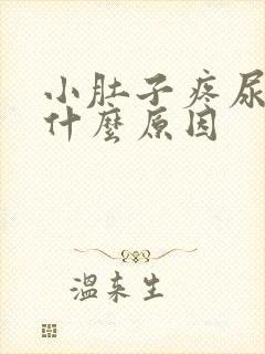 小肚子疼尿多是什么原因