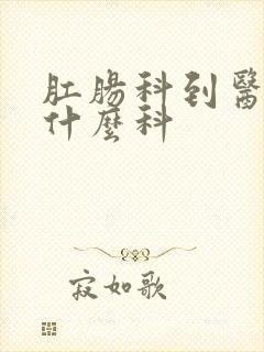 肛肠科到医院挂什么科