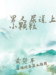 男人尿道上好多小颗粒