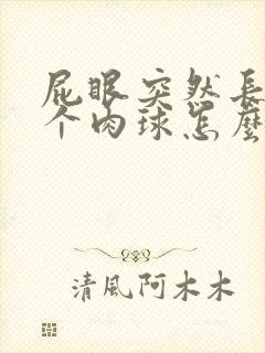 屁眼突然长了一个肉球怎么回事