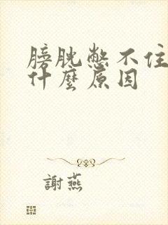 膀胱憋不住尿是什么原因