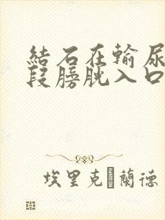 结石在输尿管下段膀胱入口处