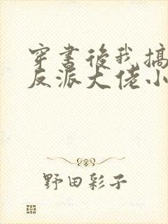 穿书后我搞到了反派大佬小说