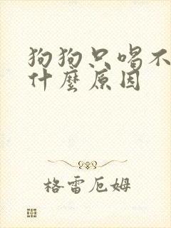 狗狗只喝不尿是什么原因