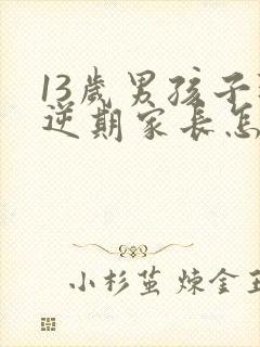 13岁男孩子叛逆期家长怎么做