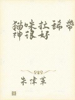 猫咪拉稀带血精神很好