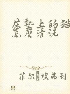 床垫上的猫尿渍怎么清洗