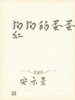 狗狗的蛋蛋特别红