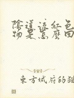 阴道流红色分泌物是怎么回事