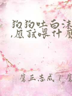 狗狗吐白沫黏液,应该喂什么药