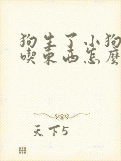 狗生了小狗后不吃东西怎么办