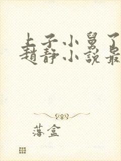 上子小舅了老婆赵静小说最新章节