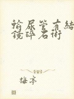 输尿管有结石软镜碎石术