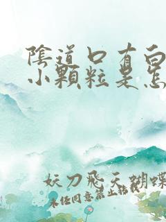 阴道口有白色的小颗粒是怎么回事