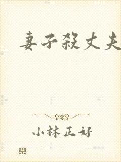 妻子杀丈夫判刑