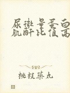 尿微量蛋白和尿肌酐比值高