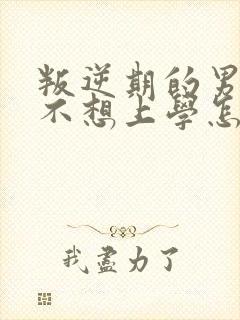 叛逆期的男孩子不想上学怎么办