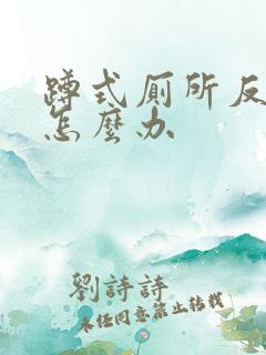 蹲式厕所反臭味怎么办