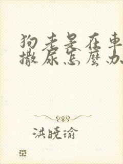 狗老是在车轮胎撒尿怎么办