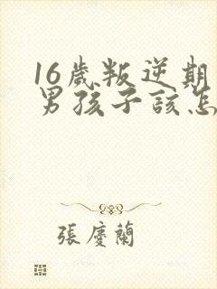 16岁叛逆期的男孩子该怎样去沟通教育